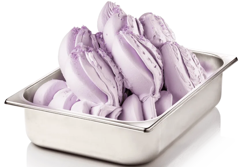 Viola - Menekşe